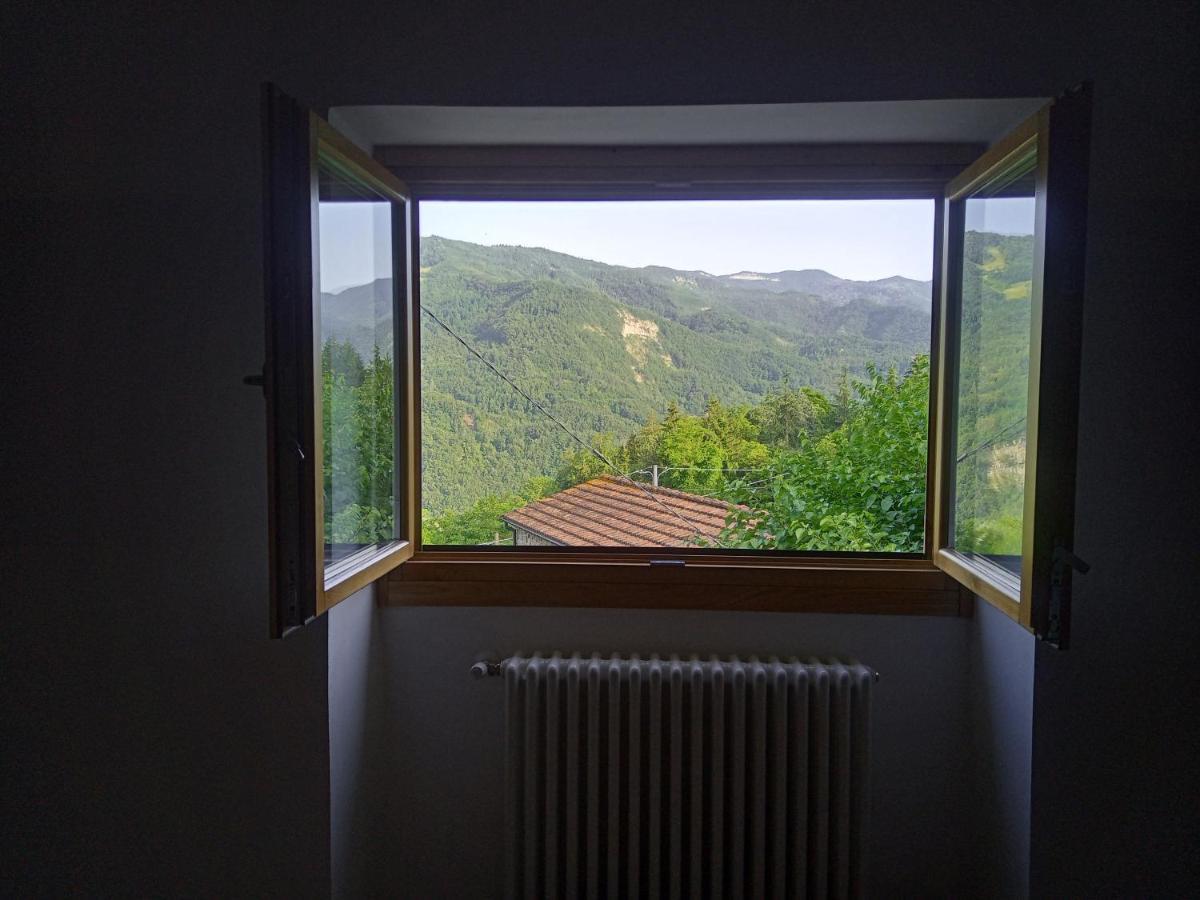 Agriturismo Il Regno Del Marrone Castel del Rio Dış mekan fotoğraf